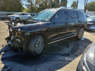 HYUNDAI PALISADE CALLIGRAPHY