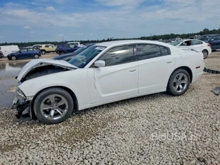 DODGE CHARGER SXT