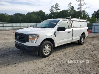 FORD F150