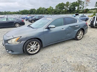NISSAN MAXIMA 3.5 S
