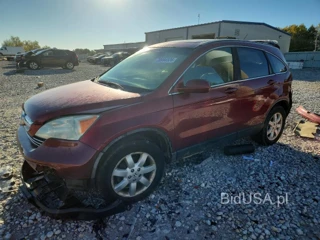 HONDA CR-V EXL