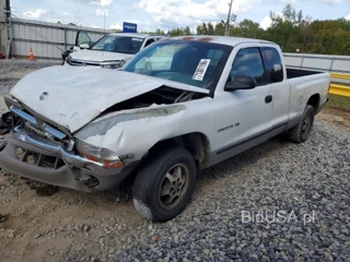 DODGE DAKOTA