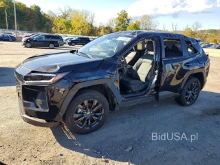 TOYOTA RAV4 XLE PREMIUM