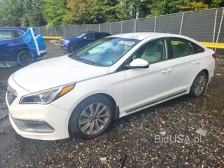 HYUNDAI SONATA SPORT