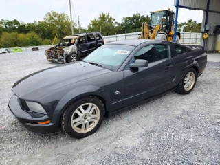 FORD MUSTANG GT