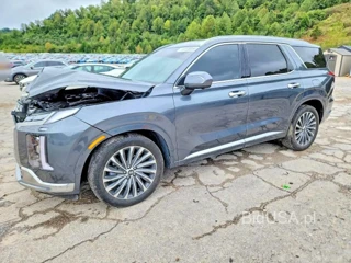 HYUNDAI PALISADE CALLIGRAPHY
