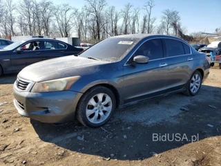 HONDA ACCORD EXL
