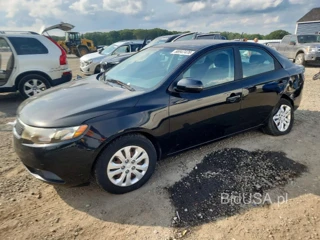 KIA FORTE EX