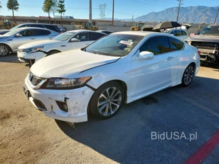 HONDA ACCORD EXL