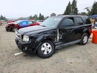 FORD ESCAPE XLT