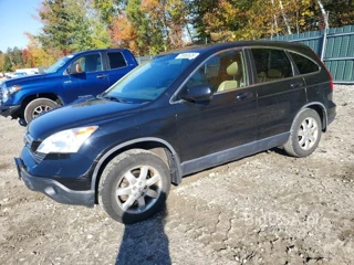 HONDA CR-V EXL