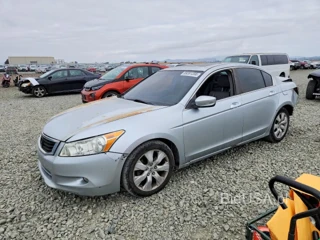 HONDA ACCORD EXL