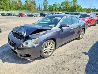 NISSAN MAXIMA 3.5 S