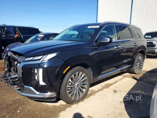 HYUNDAI PALISADE CALLIGRAPHY