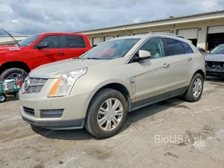 CADILLAC SRX LUXURY COLLECTION
