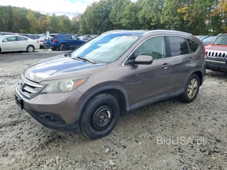 HONDA CR-V EXL