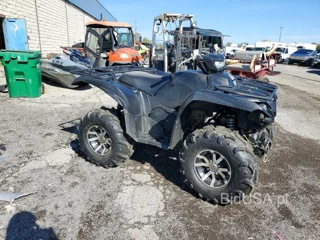 Yama GRIZZLY