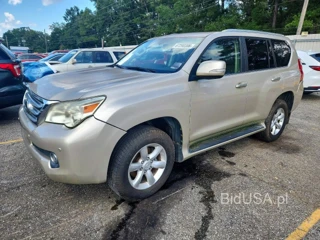 LEXUS GX 460