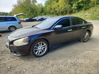 NISSAN MAXIMA