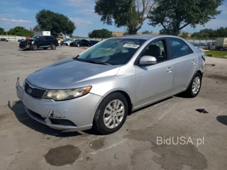 KIA FORTE EX