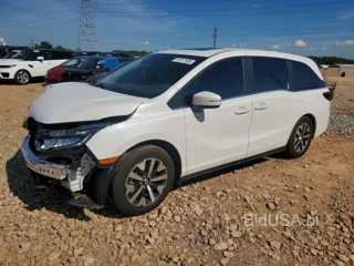 HONDA ODYSSEY EXL