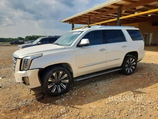 CADILLAC ESCALADE PLATINUM