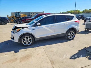FORD ESCAPE SEL