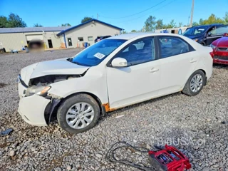 KIA FORTE EX
