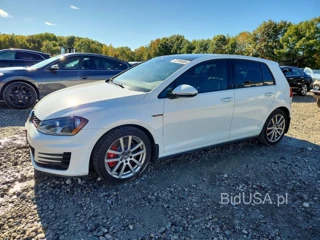 VOLKSWAGEN GTI S/SE