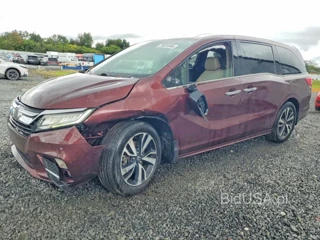 HONDA ODYSSEY ELITE
