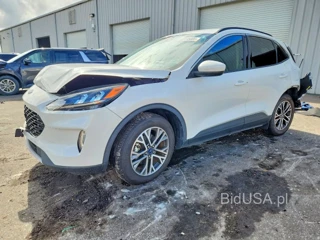 FORD ESCAPE SEL