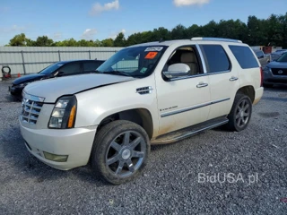CADILLAC ESCALADE LUXURY