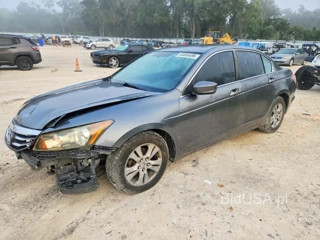 HONDA ACCORD SE