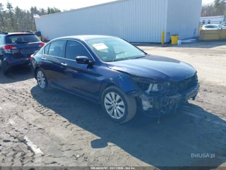 HONDA HONDA ACCORD SPORT