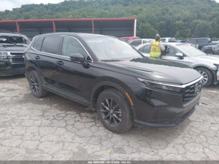 HONDA HONDA CR-V EXL