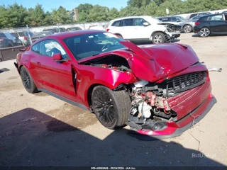 FORD FORD MUSTANG GT