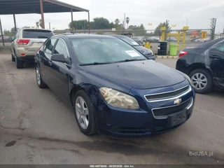 CHEVROLET CHEVROLET MALIBU LS