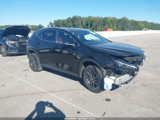 LEXUS LEXUS NX 350 PREMIUM