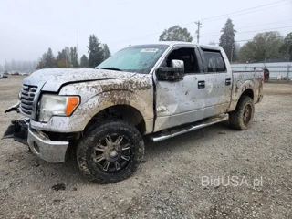 FORD F150 SUPERCREW