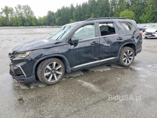 HONDA PILOT ELITE