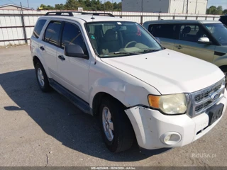 FORD FORD ESCAPE XLT