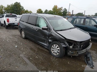 HONDA HONDA ODYSSEY EX-L