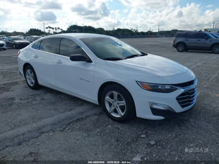 CHEVROLET CHEVROLET MALIBU 1FL