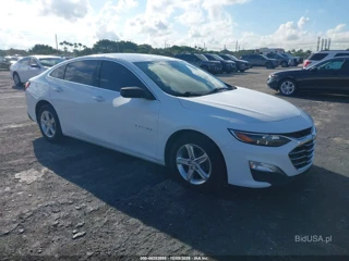 CHEVROLET CHEVROLET MALIBU 1FL