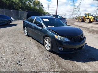 TOYOTA TOYOTA CAMRY SE