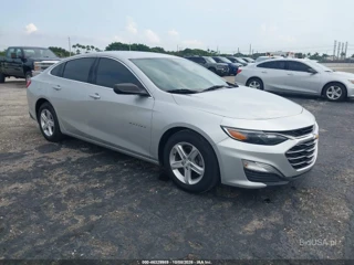 CHEVROLET CHEVROLET MALIBU FWD 1FL
