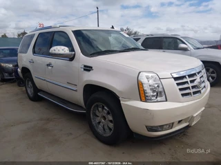 CADILLAC CADILLAC ESCALADE STANDARD