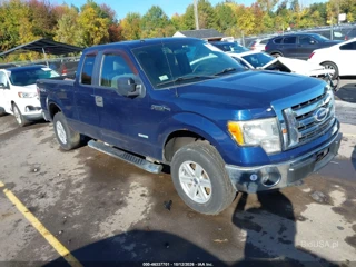 FORD FORD F-150 XLT