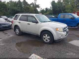 FORD FORD ESCAPE XLT