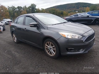 FORD FORD FOCUS SE